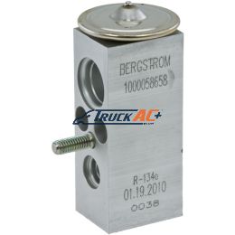 Navistar A/C Expansion Valve - Navistar 3688242-C1, 1000058658