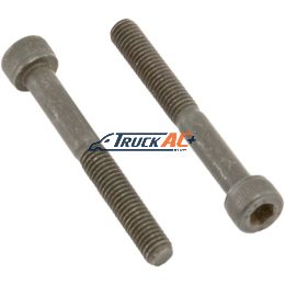 A/C Expansion Valve Mounting Screws (2) - Truck Air 16-4257B, MEI 0134B