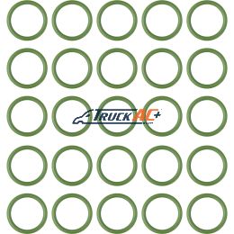 Sanden Suction Port O-ring 20pk - Truck Air 16-4233, MEI 0116