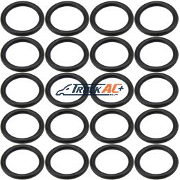 Sanden WV Discharge Port O-ring 20pk - Truck Air 16-4269, MEI 0129
