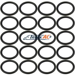 Sanden WV Suction Port O-ring 20pk - Truck Air 16-4270, MEI 0124