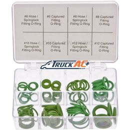 Ford & GM Basic O-ring Assortment