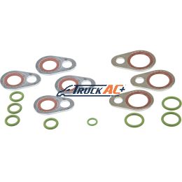 Navistar O-ring Assortment - Navistar 2614861-C91