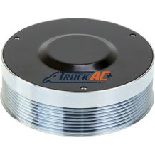 Sanden A/C Compressor Clutch - Sanden 4840-9932