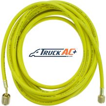 25' Nitrogen Regulator Hose