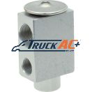 OEM Omega Bus Unit A/C Expansion Valve - Omega 31-30902-AM