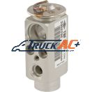 OEM Volvo A/C Expansion Valve - Volvo 20443850, Egelhof 324349, Truck Air 12-1603A, MEI 1622
