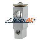 OEM Hino A/C Expansion Valve - Hino S885151070