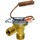 Chevrolet/GMC Style A/C Expansion Valve - GM 52484737, AC Delco 15-5679